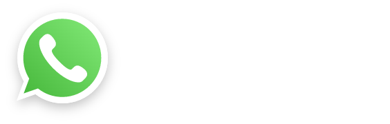 Ws Api Icon WSAPI